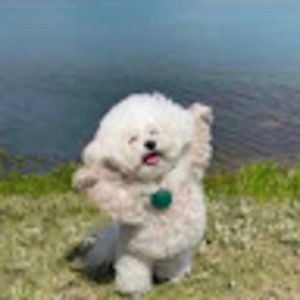 Meet your Posher, Maylene